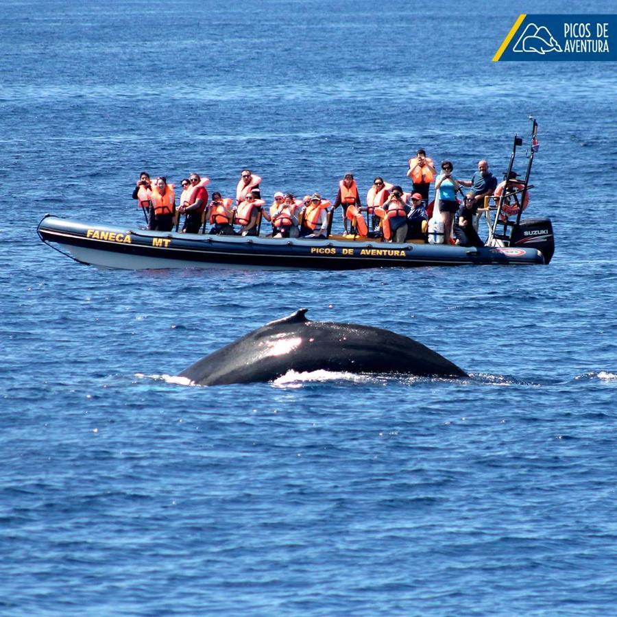 Alojamento Santa Cruz Villa ลาโกอา ภายนอก รูปภาพ